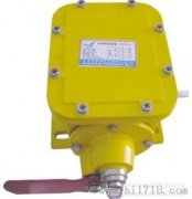 JHSL-A、JHSL-B縱向撕裂保護(hù)開關(guān)廠家直銷