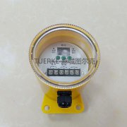 廠家批發(fā)打滑欠速開關(guān)YHDH-Z欠速檢測(cè)裝置