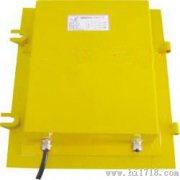 EXLDM-X溜槽堵塞保護裝置，220VLDM-E防爆溜槽堵塞檢測器