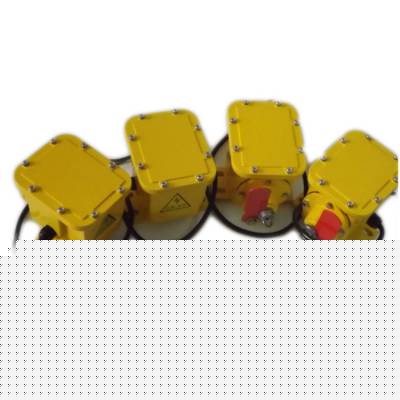 BZH-11防撕裂開關(guān)、BZL-220縱向撕裂開關(guān)防水防爆型生產(chǎn)廠家